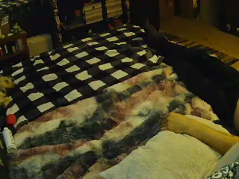 EroticKityii online show from 04/01/26, 05:08