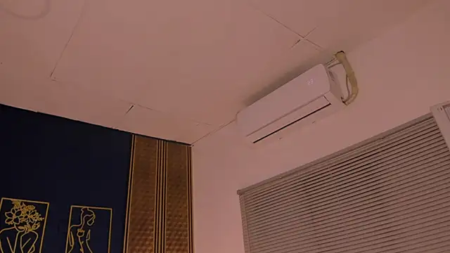  dakota a online show from 01/21/25, 12:46