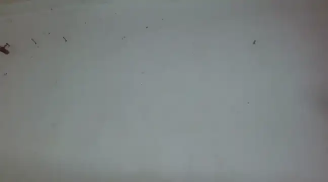 Snapshot of _amira_dalila chatting on 12/27/24, 03:37 amira dalila online show from 12/27/24, 03:37