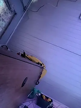 ppatriciarabello online show from 04/11/26, 12:20