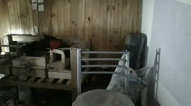 Snapshot of italianbighorse22 chatting on 01/18/25, 06:03 italianbighorse22 online show from 01/18/25, 06:03