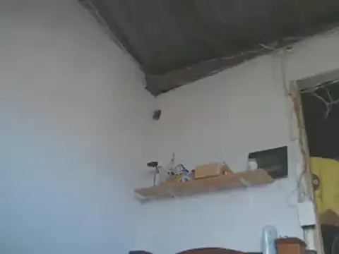 gatoalex89 online show from 01/15/25, 08:05