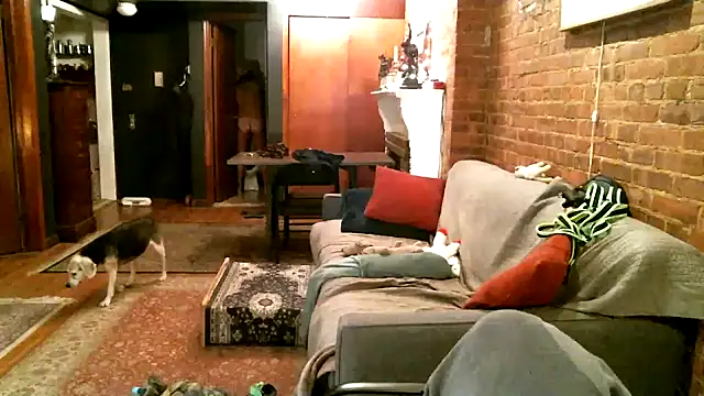 Johnny Bottoms online show from 12/21/24, 01:04