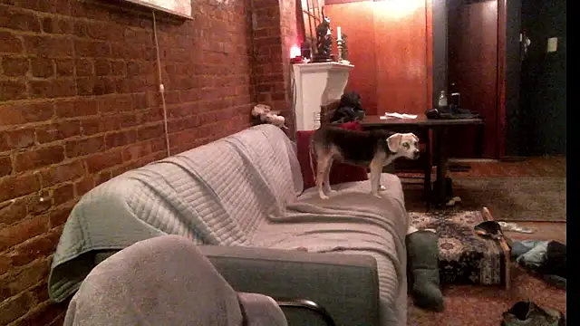 Johnny Bottoms online show from 09/24/25, 11:19