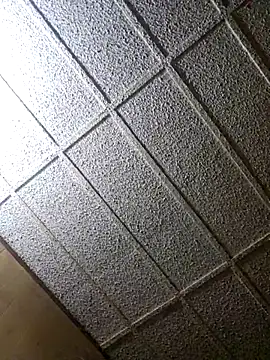 zaneporter46 online show from 02/08/25, 12:49