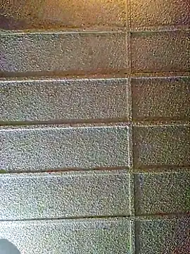 zaneporter46 online show from 02/10/25, 09:25