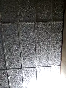 zaneporter46 online show from 03/01/25, 09:07