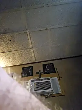 zaneporter46 online show from 06/29/26, 05:57
