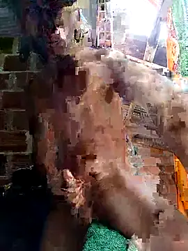 Andres123cv online show from 04/15/26, 04:25