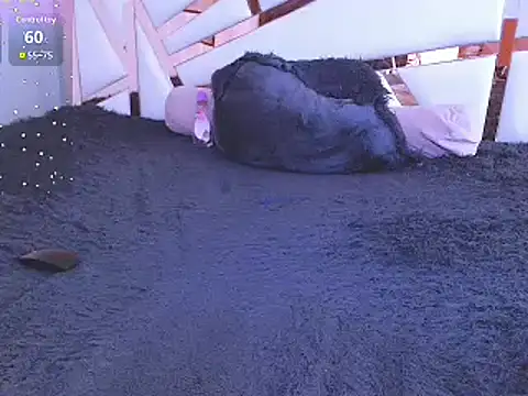 GabrielaFerrer02 online show from 01/22/25, 02:56