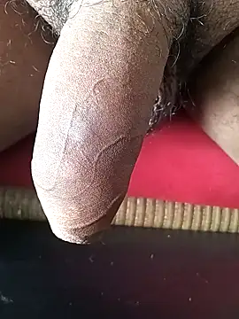 Snapshot of Arasu_ chatting on 02/01/25, 10:48 Arasu online show from 02/01/25, 10:48