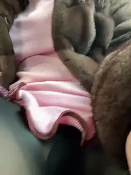 AndreaMood online show from 02/01/25, 06:43