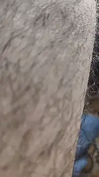 niyack69 online show from 01/31/26, 11:03