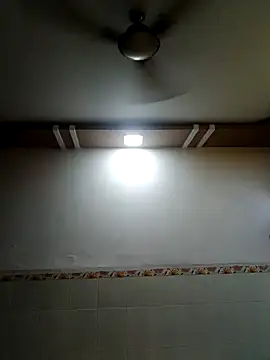 Snapshot of carria_homes chatting on 12/29/24, 12:55 carria homes online show from 12/29/24, 12:55