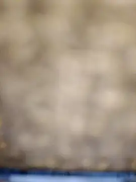 618fuckupp online show from 10/27/25, 11:25