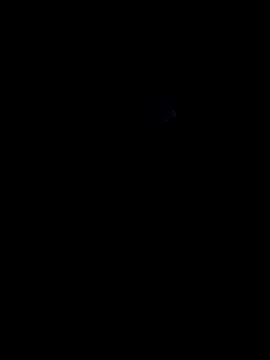 lokillo- 3000 online show from 03/15/25, 04:13