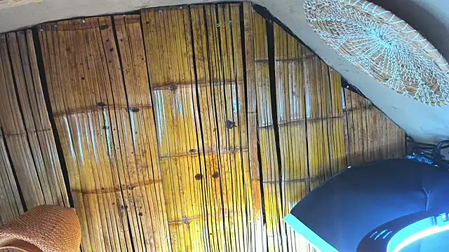 MarcoVitto online show from 11/23/25, 07:13