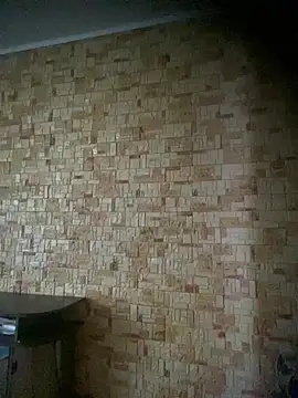 Prolisok473 online show from 02/28/25, 08:31