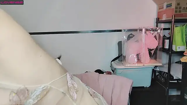 diandian-866 online show from 02/20/25, 02:24