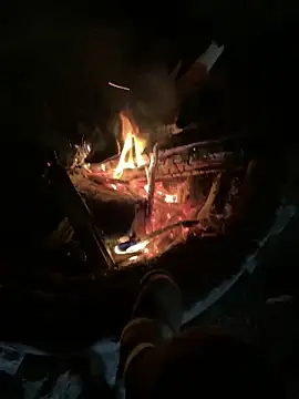 bjayburn online show from 01/26/25, 04:51