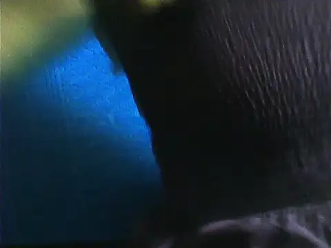 Tamil Vishalini online show from 11/28/25, 07:11