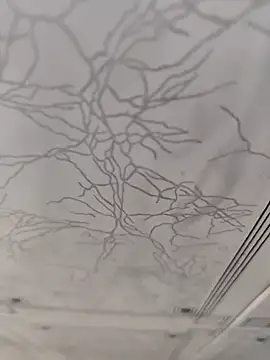 dreamers dick online show from 01/02/25, 04:13