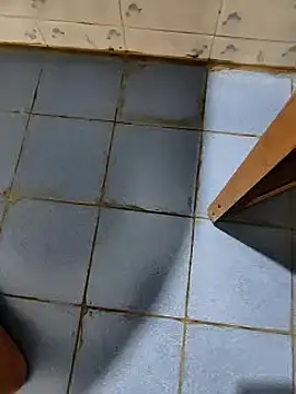 dreamers dick online show from 01/09/25, 07:50