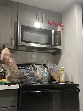 ParkerGYATT online show from 04/09/26, 12:54