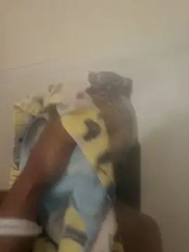 Looking4Jerries online show from 12/31/24, 06:48