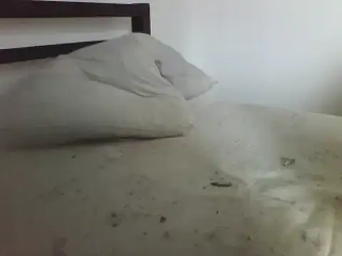 Snapshot of horndude187187 chatting on 01/01/25, 11:05 horndude187187 online show from 01/01/25, 11:05