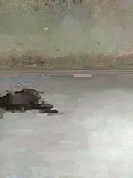 teluguu-rajj online show from 10/27/25, 02:37