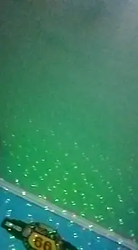 Snapshot of Elrep_tile chatting on 03/11/25, 04:10 Elrep tile online show from 03/11/25, 04:10