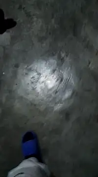 RODRI POLLADURA online show from 01/06/25, 06:47