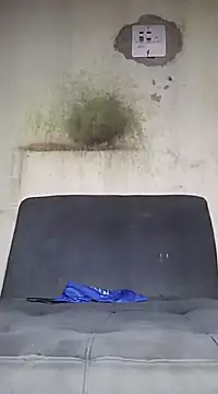 Kaizer1 online show from 10/14/25, 06:20