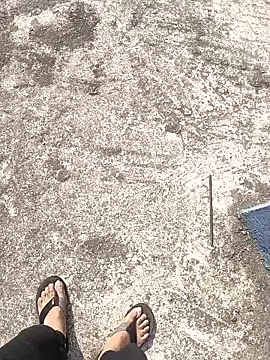 aryan 8051 online show from 01/12/25, 04:31