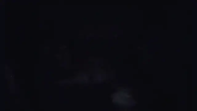 ParaFox online show from 09/14/25, 08:30