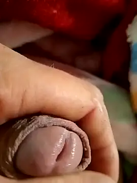 mmarvis za78 93 21cm online show from 02/09/25, 02:38