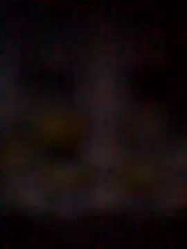 missAmanda69 online show from 07/29/26, 11:25