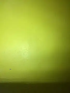 triplebeast online show from 02/02/25, 02:59