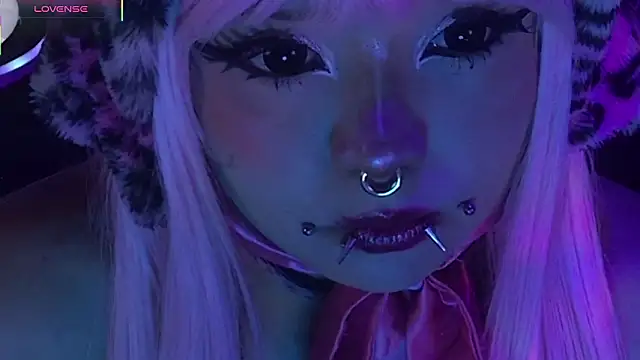 LaytonBox online show from 03/24/26, 02:11