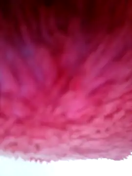 Samara-Bella online show from 01/06/26, 05:22