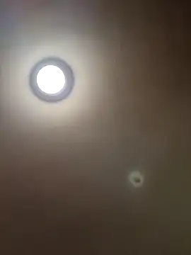 Snapshot of MrDaddyBbSnake chatting on 01/28/25, 04:29 MrDaddyBbSnake online show from 01/28/25, 04:29