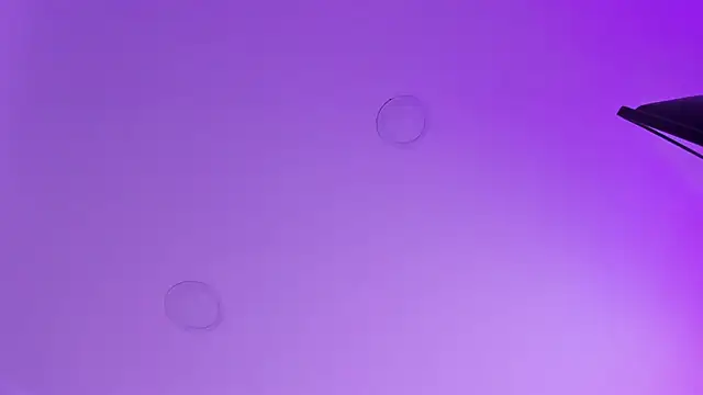 kathy bakerr online show from 03/18/26, 01:25