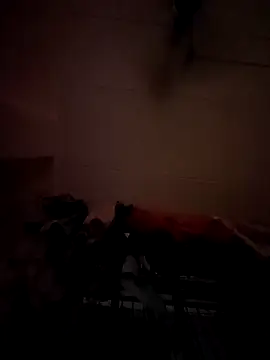 opkiller901 online show from 01/12/25, 10:01