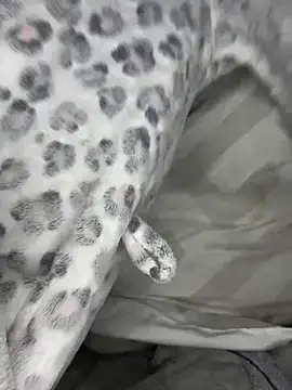 VioletxBlue online show from 03/28/26, 11:32