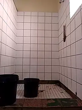 Snapshot of Dube501 chatting on 11/17/25, 05:46 Dube501 online show from 11/17/25, 05:46