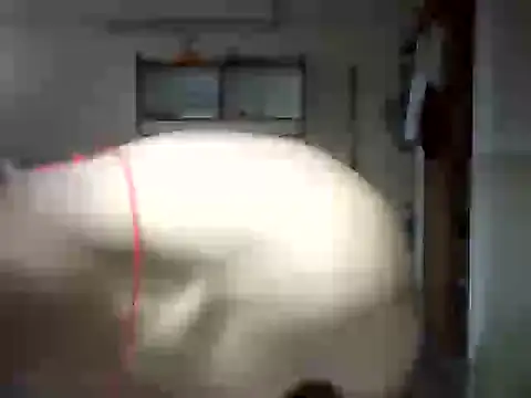 Snapshot of venom26 chatting on 09/14/25, 09:52 venom26 online show from 09/14/25, 09:52