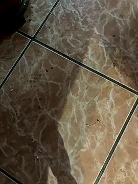 Lilymoonshow online show from 09/18/25, 11:07