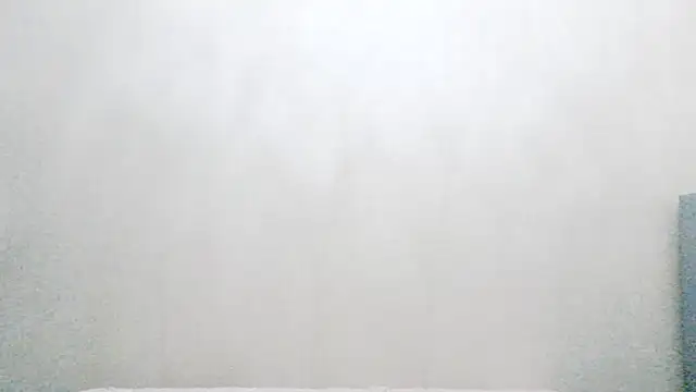 vnhfds online show from 01/22/25, 02:56