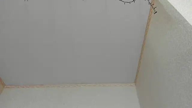 Snapshot of Browni_Kiss chatting on 01/16/25, 07:49 Browni Kiss online show from 01/16/25, 07:49